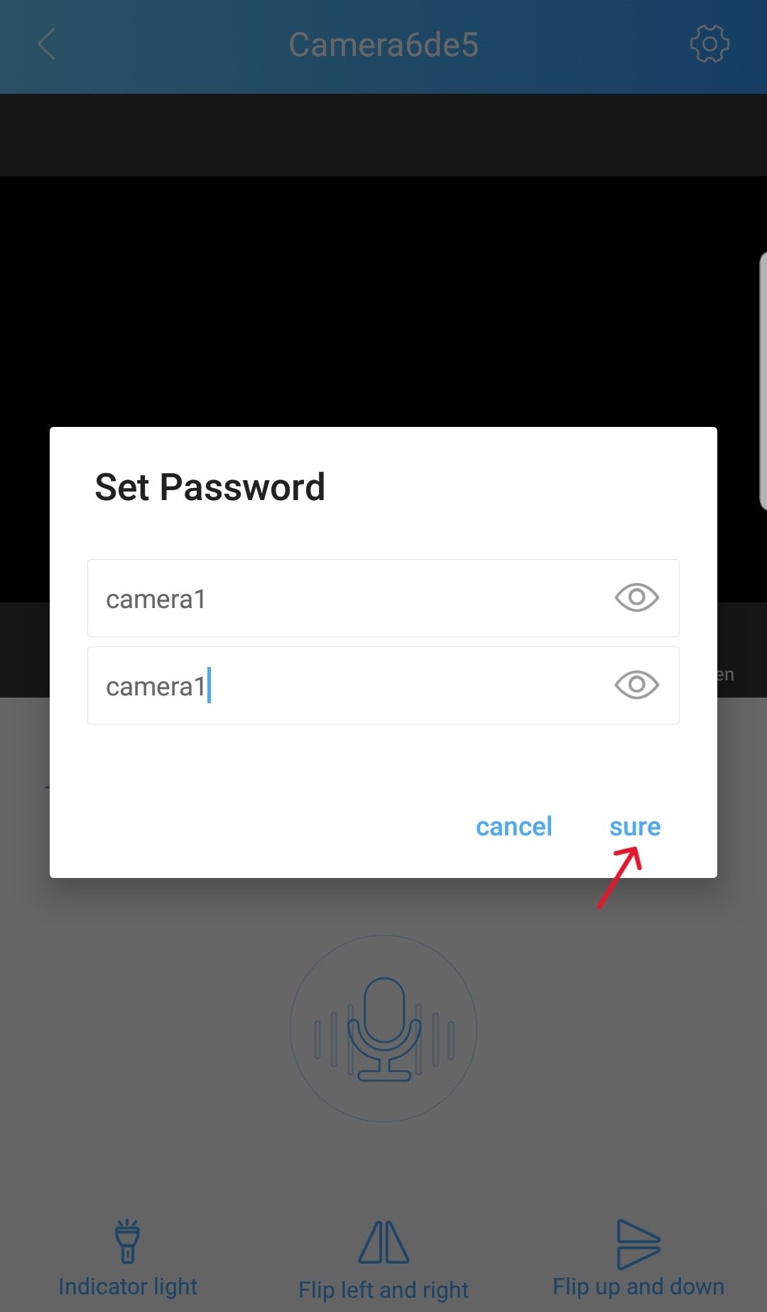 17-Write Password and Sure