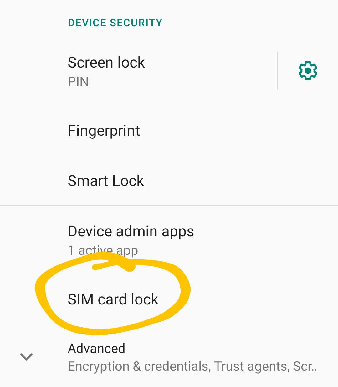 Delete SIM Card PIN